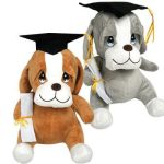 Perro Marron Y Perro Gris Mediano Graduacion