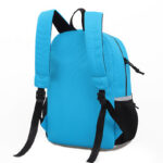 Morral Grande Amazonia Azul 2 - Imagen 7