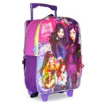 Morral Grande Con Ruedas Descendientes